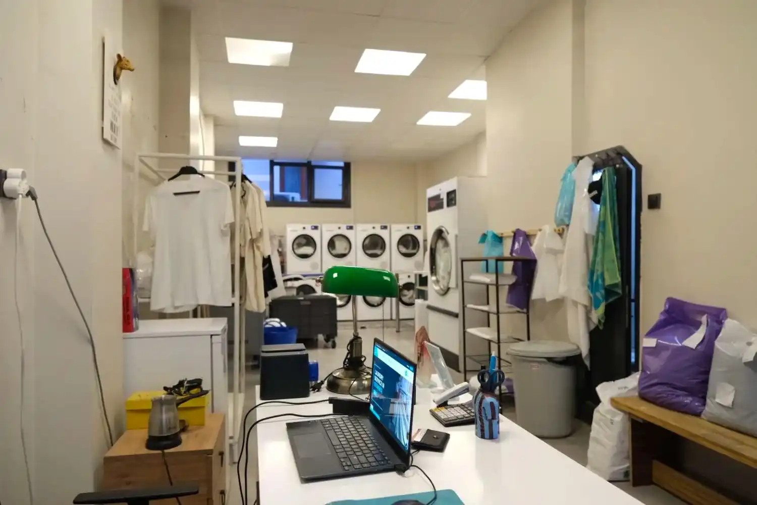 Why Eco-Friendly Laundry Matters Today